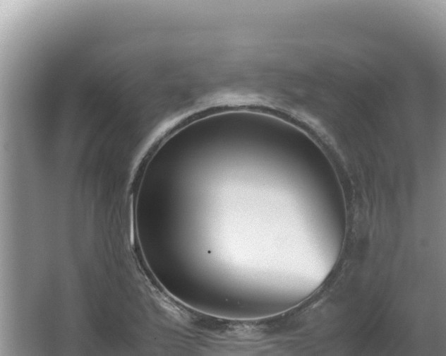 X0000062851175200601171503