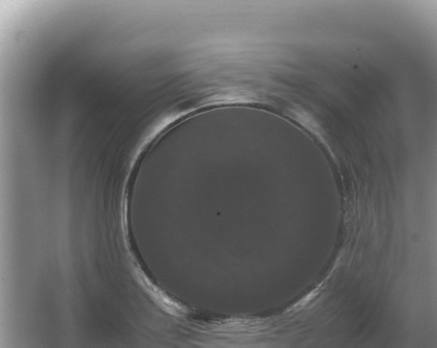 X0000062851179200601171503