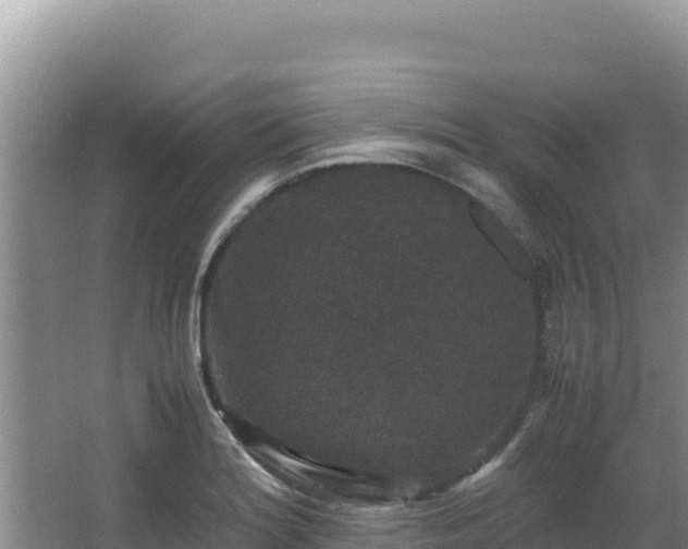 X0000062851180200601171503