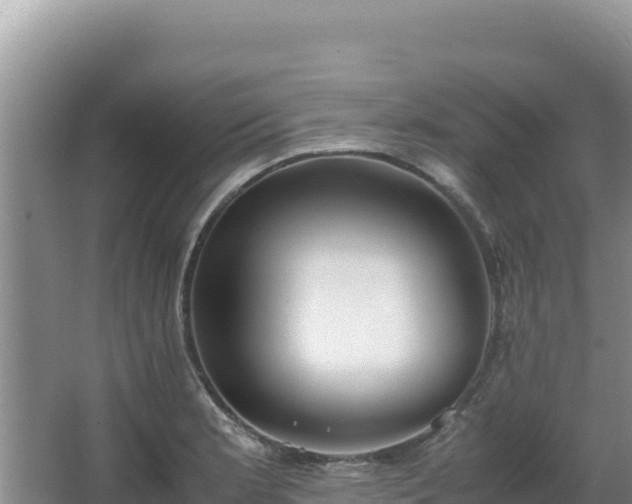 X0000062851181200601171503