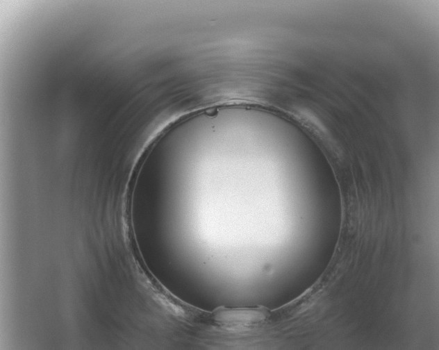 X0000062851182200601171503