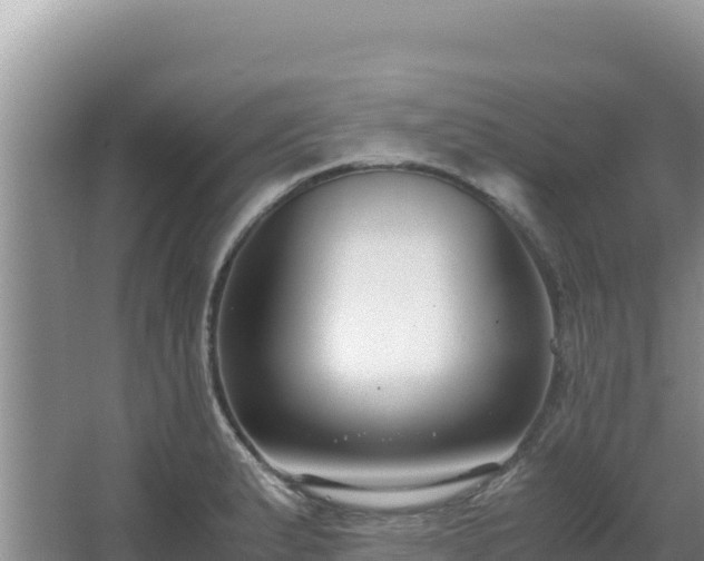 X0000062851183200601171503