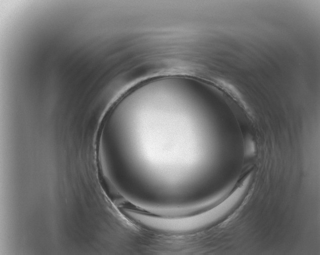 X0000062851184200601171503