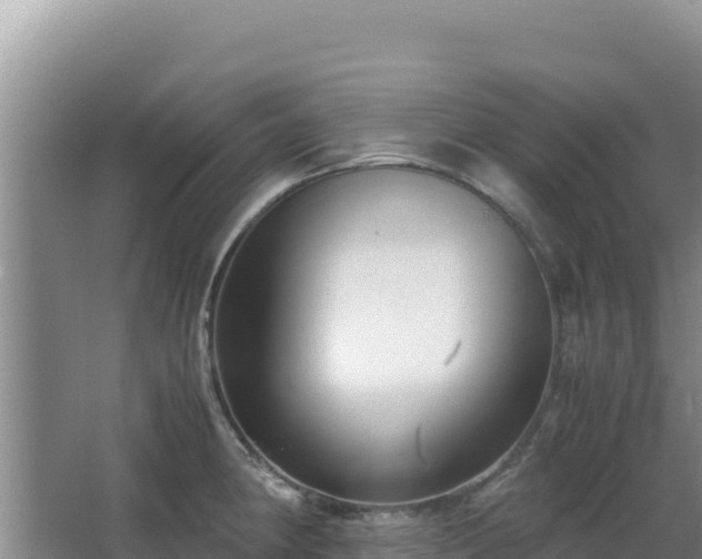 X0000062851190200601171503