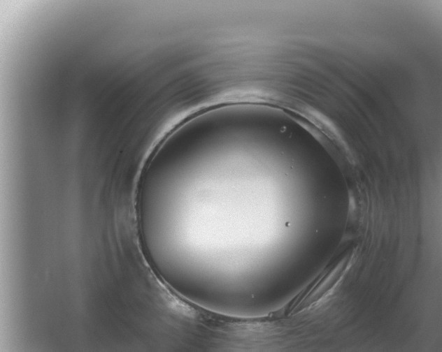 X0000062851192200601171503