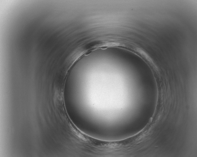 X0000062851193200601171503