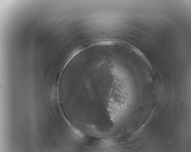 X0000062851194200601171503