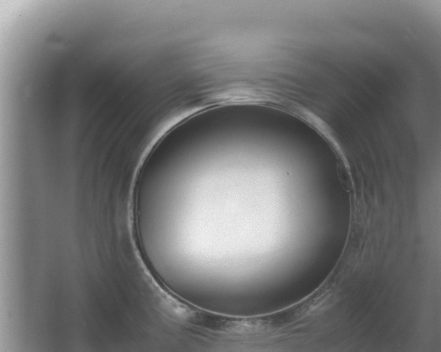 X0000062851195200601171503