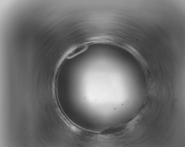 X0000062851196200601171503