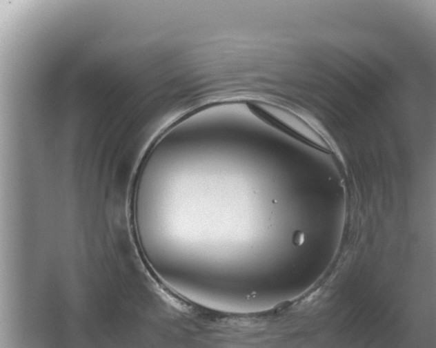 X0000062851197200601171503