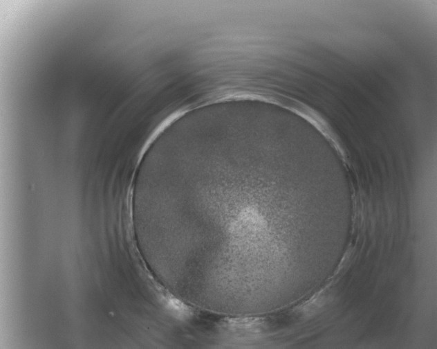 X0000062851198200601171503