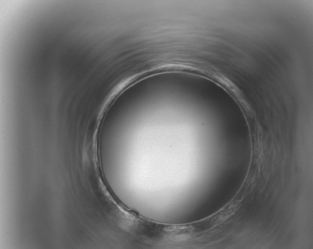 X0000062851199200601171503