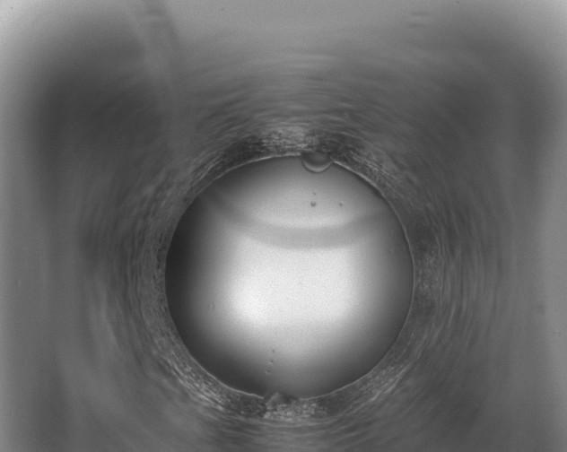 X0000062851201200601171502