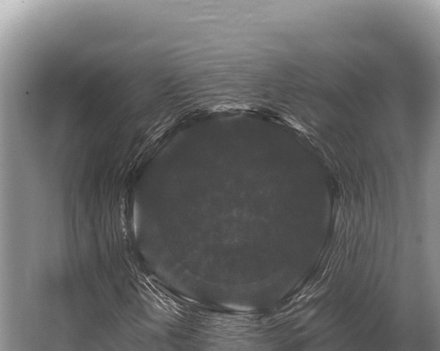 X0000062851202200601171502