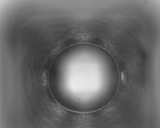 X0000062851203200601171502