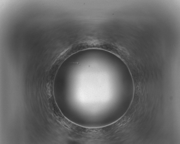 X0000062851205200601171502