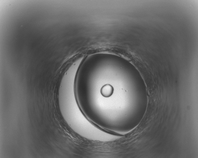 X0000062851206200601171502