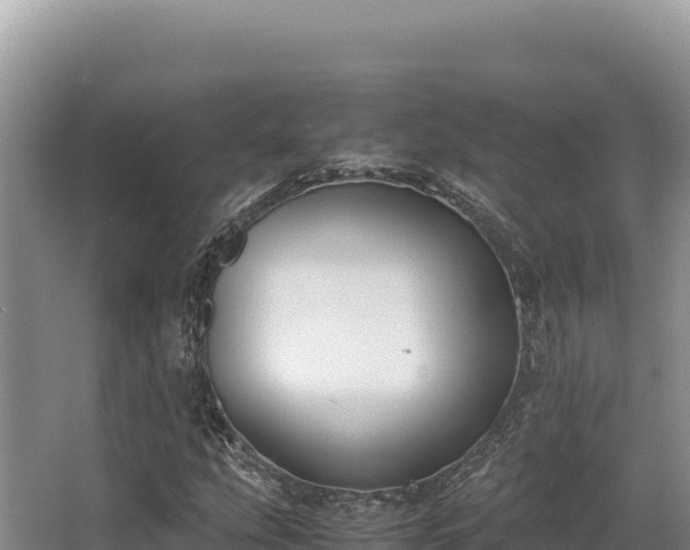 X0000062851207200601171502