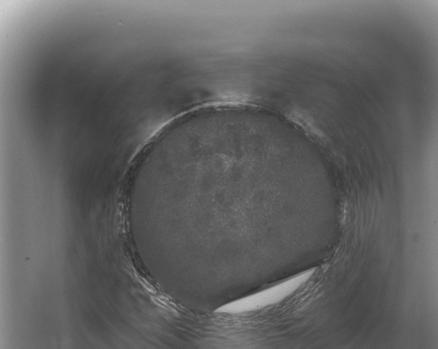 X0000062851208200601171502