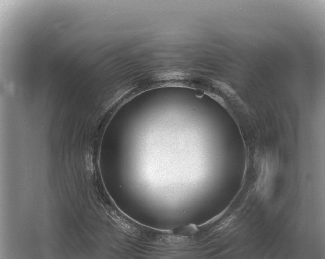 X0000062851209200601171502