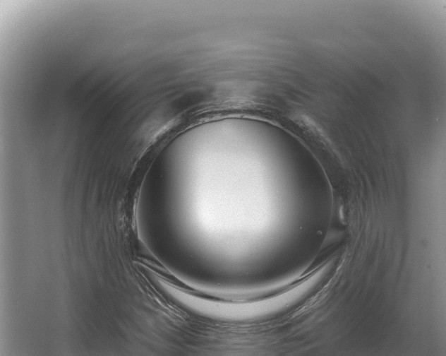 X0000062851210200601171502