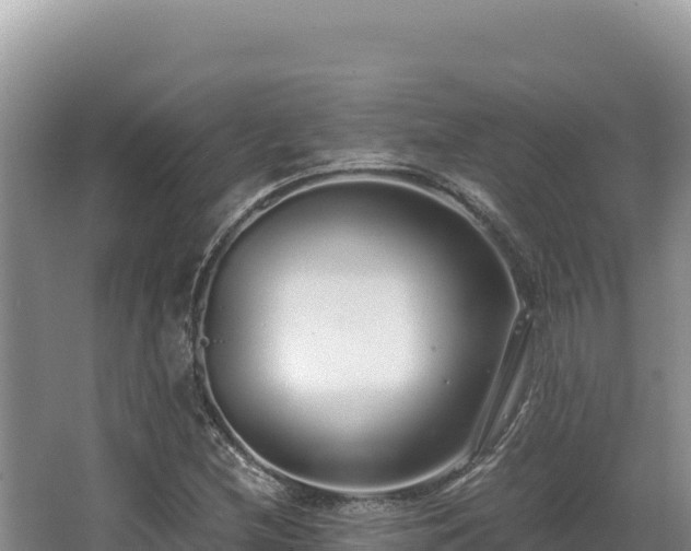 X0000062851212200601171502