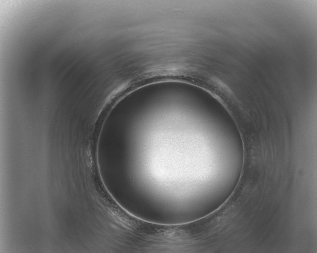 X0000062851218200601171502