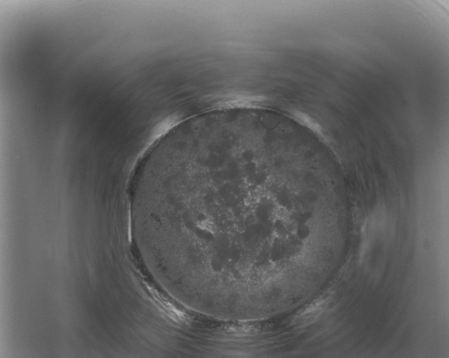 X0000062851219200601171502