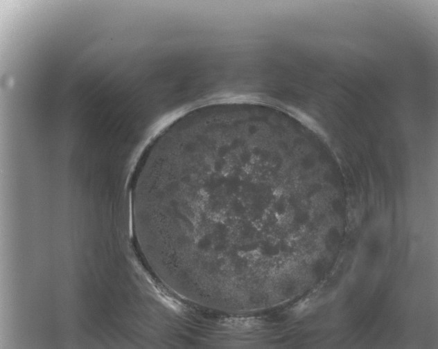 X0000062851223200601171502