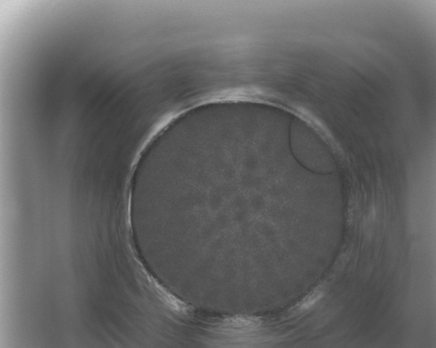 X0000062851224200601171502