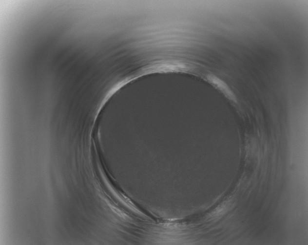 X0000062851226200601171502