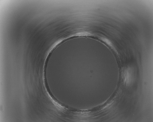 X0000062851229200601171503