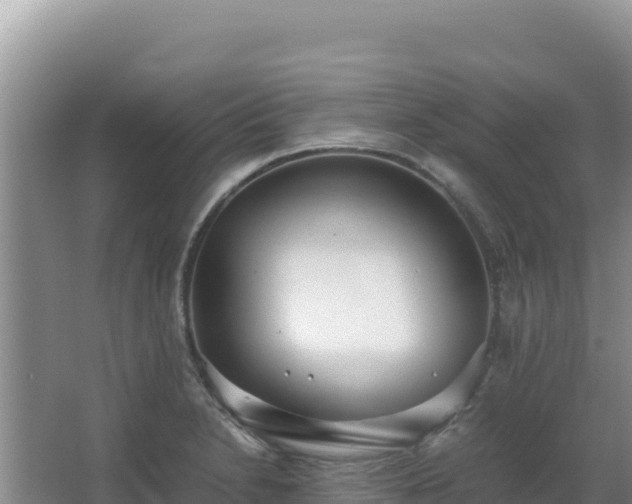 X0000062851230200601171503