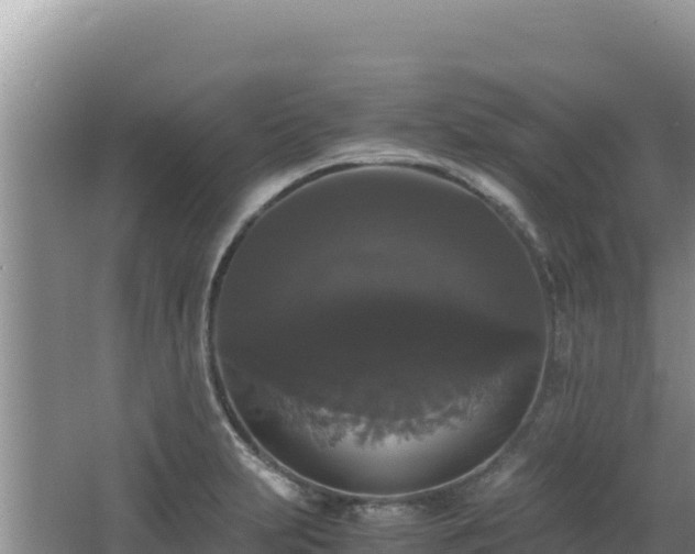 X0000062851231200601171503