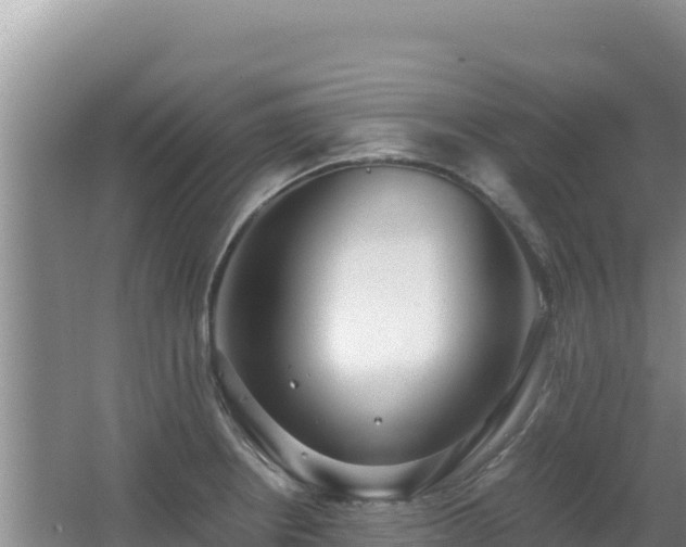 X0000062851234200601171503