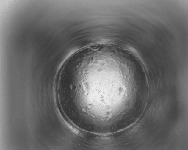 X0000062851235200601171503