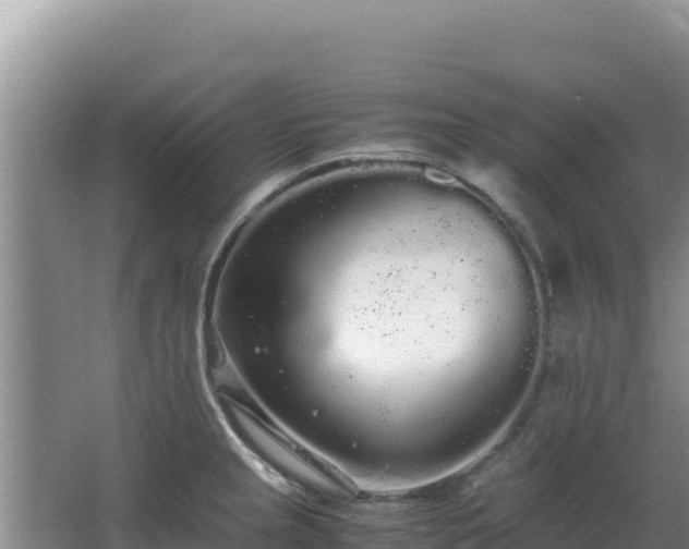 X0000062851237200601171503