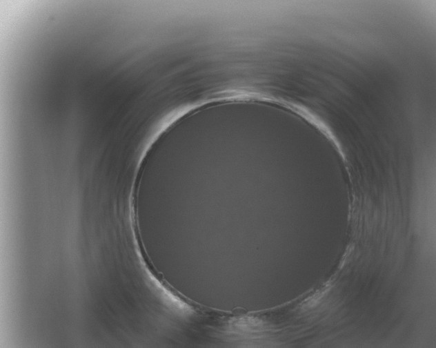 X0000062851239200601171503