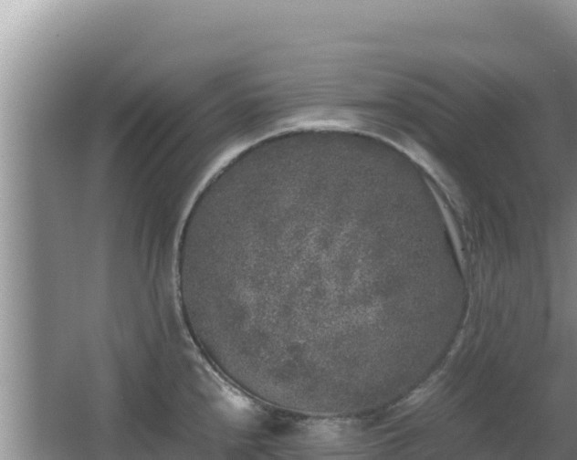 X0000062851240200601171503