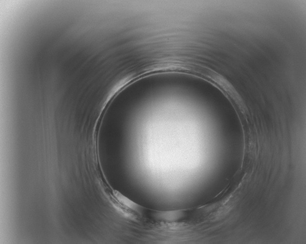 X0000062851242200601171503