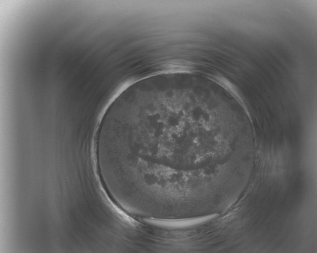 X0000062851243200601171503