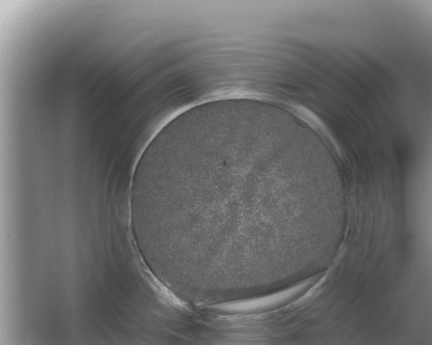 X0000062851244200601171503