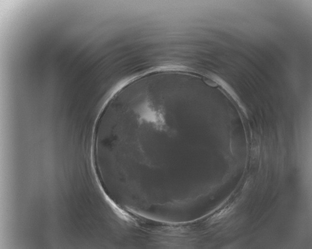 X0000062851245200601171503