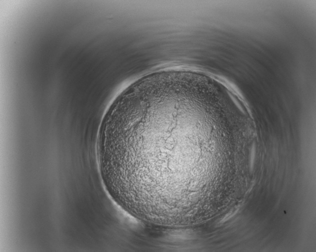 X0000062851247200601171503