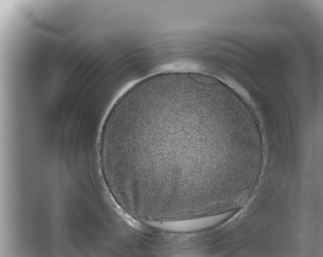 X0000062851248200601171503