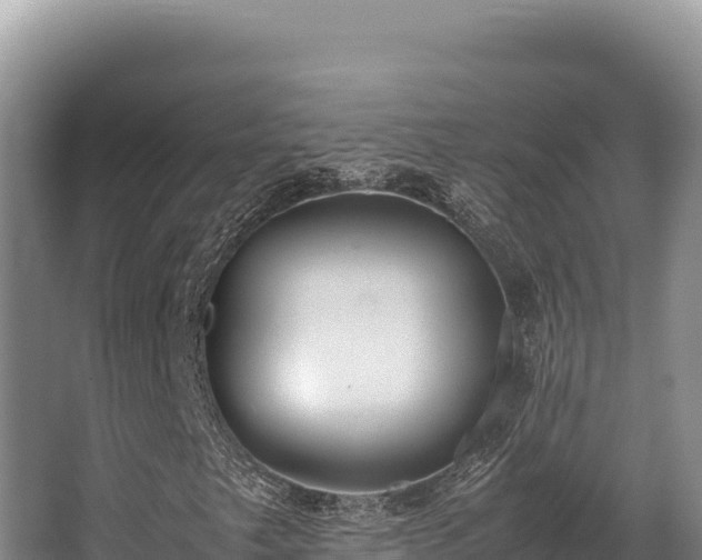 X0000062851249200601171502