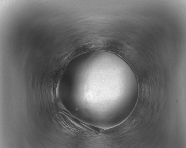 X0000062851250200601171502