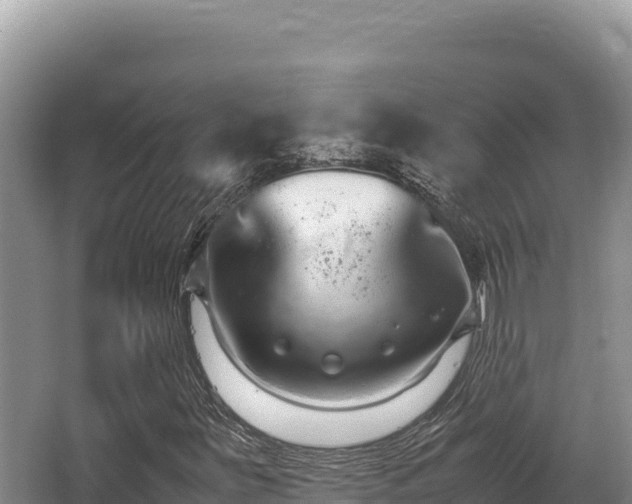 X0000062851251200601171502