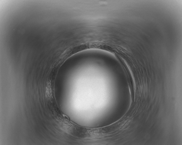 X0000062851252200601171502