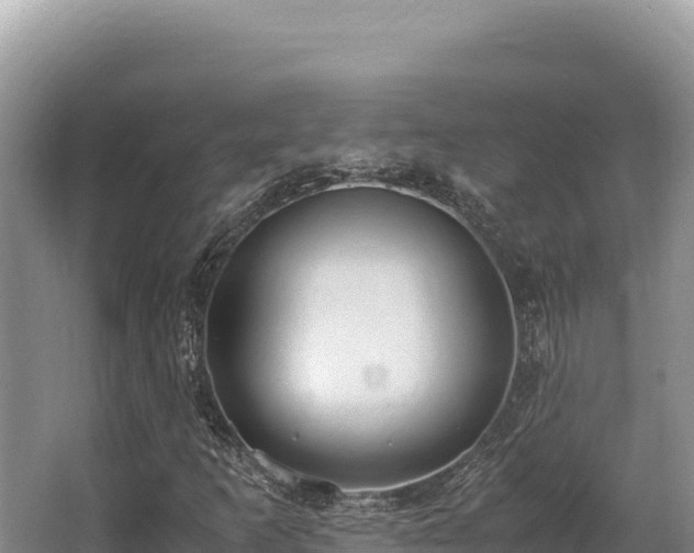 X0000062851253200601171502